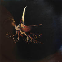 Öl/Leinwand, 100 x 100